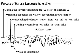 Process of Natural Language Acquisition